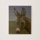 Buscar burros puzzles Mula