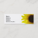 Buscar girasoles tarjetas de visita Girasol amarillo