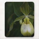 Buscar orquídeas amarillas alfombrillas de raton Naturaleza