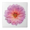 Buscar zinnia azulejos Bonito