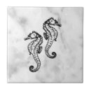 Buscar caballo de mar azulejos Animal