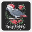 Buscar loro gris pegatinas Festivo