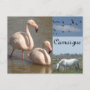 Buscar compatriota postales Francia