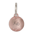 Buscar nombre placas para gatos Purpurina