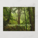 Buscar olímpico postales Naturaleza