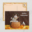 Buscar gatos curiosos postales Foto