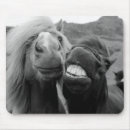 Buscar imágenes del caballo alfombrillas de raton Naturaleza