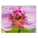 Buscar flores tropicales calendarios Jardín