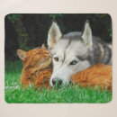 Buscar husky mantas Adorable