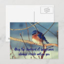 Buscar bluebird postales Felicidad