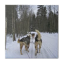 Buscar quebec azulejos Canadá