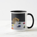 Buscar tabby fotografía Naturaleza