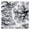 Buscar monótono arte Árbol