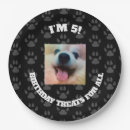 Buscar persigue decoracion Para mascotas