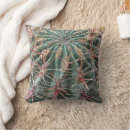 Buscar plantas de desierto cojines Arizona