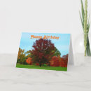 Buscar robles tarjetas Otoño