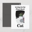 Buscar cat lover postales Divertido