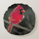 Buscar cardenales cojines Pájaro