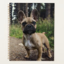 Buscar french bulldog Pet