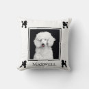 Buscar caniche cojines Blanco y negro