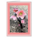 Buscar rosa cuaresmal Jardín