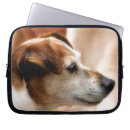 Buscar russell terrier fundas Adorable