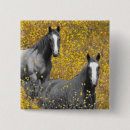 Buscar caballo chapas Animal
