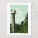 Buscar eureka postales Linterna