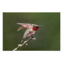 Buscar estiramiento fotografía Naturaleza