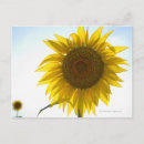 Buscar abundancia postales Crecimiento