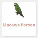 Buscar macaws Loro