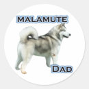 Buscar alaskan malamute pegatinas Malamuta