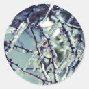Buscar congelado pegatinas Hielo