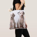 Buscar inocencia bolsos Ninguna gente