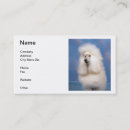 Buscar caniche tarjetas de visita Negocio