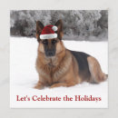 Buscar pastor invitaciones General y unisex