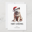 Buscar akita tarjetas Canina