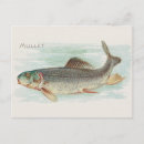 Buscar salmonete postales Pescar
