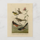 Buscar sparrow postales Ilustracion