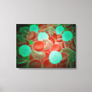 Buscar célula lienzos Ciencia