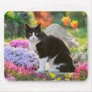 Buscar gato negro alfombrillas de raton Flores
