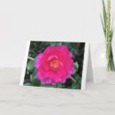 Buscar de la camelia tarjetas Jardín