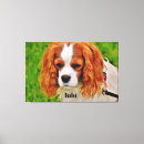 Buscar foto del perro lienzos Animal