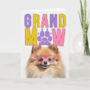 Buscar perro pomeranian tarjetas Para ella
