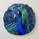Buscar pavo real indio cojines Pavos reales