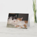 Buscar fav tarjetas Adorable