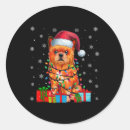 Buscar griffon pegatinas Navidades