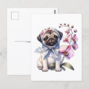 Buscar orquídeas postales General y unisex
