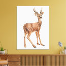 Buscar conejitos lienzos Adorable