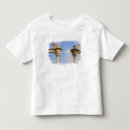 Buscar rajasthan camisetas Palacio